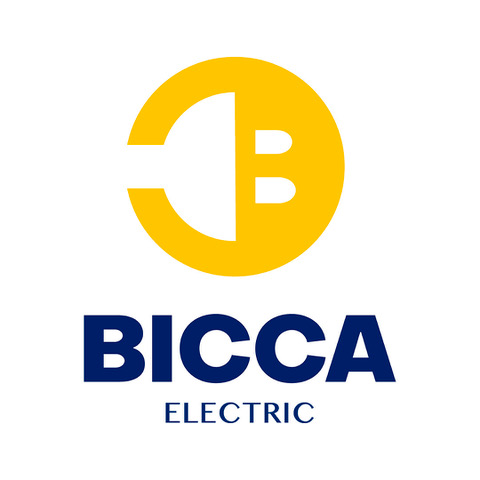 Bicca Electric - Visual