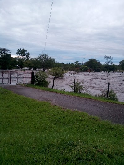 Photos of Guayuriba