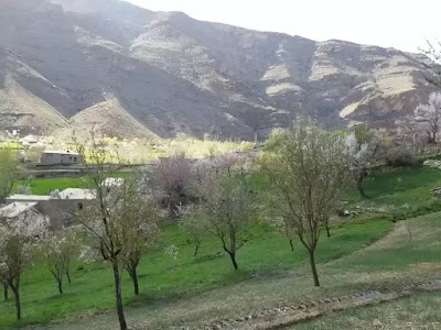 Zabul Center