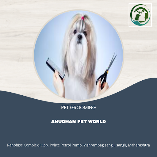 Get your pet looking their best with Anudhan Pet World's top-notch pet grooming services in Sangl…