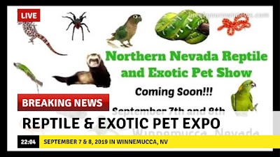 Northern Nevada Reptile and Exotic Pet Show