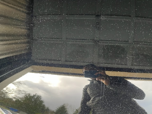 MZ Auto Detail - Thumbnail