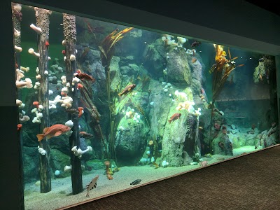 Pacific Seas Aquarium