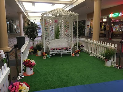 Photos of Findlay Village Mall