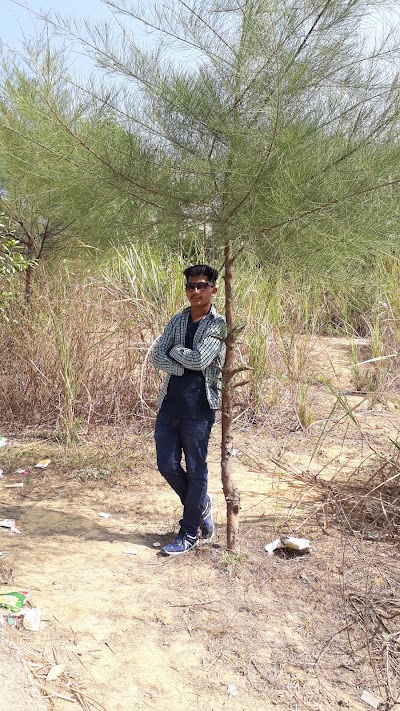 Photos of Mirsarai