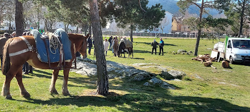 El Pinarillo Park - Thumbnail
