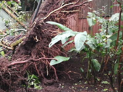 Photos of Escondido Park