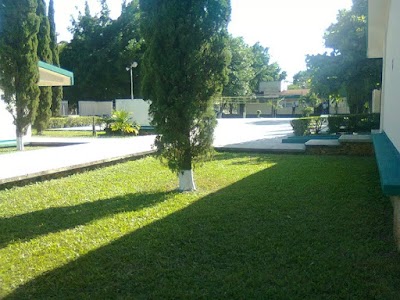 school