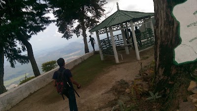 Photos of Pilkington point view