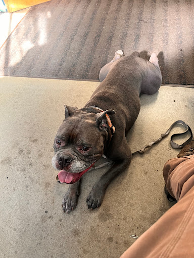 Topanga Veterinary Clinic - Thumbnail