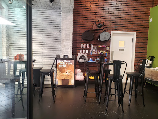The Chatty Cat Cafe