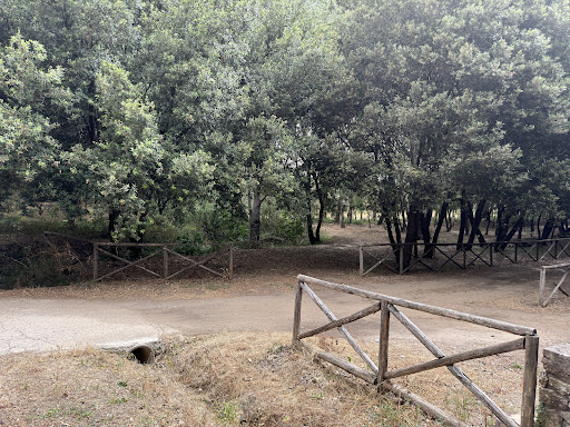 Parco marrogali