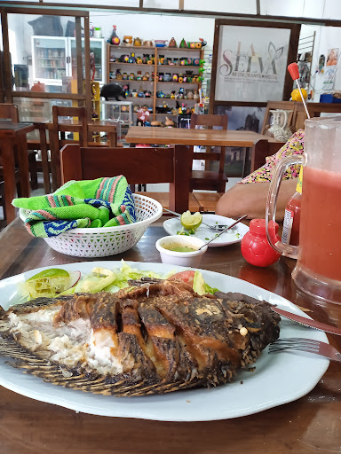 La selva Hotel Restaurante - Thumbnail