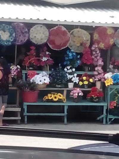 Photos of Mercado Guamilito