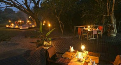 Photos of Kosi Forest Lodge