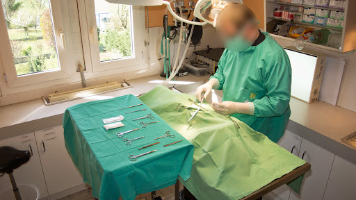 Clinique Vétérinaire des Bulles Vertes - Saint-Galmier - Thumbnail
