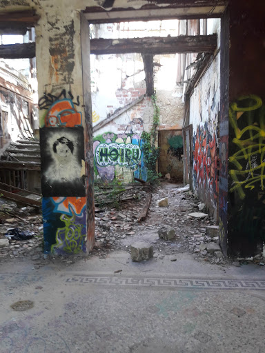 clozet Garden - Thumbnail