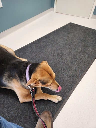 WestVets Animal Hospital - Thumbnail