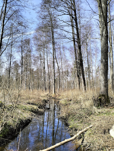 Gulastorp - Thumbnail