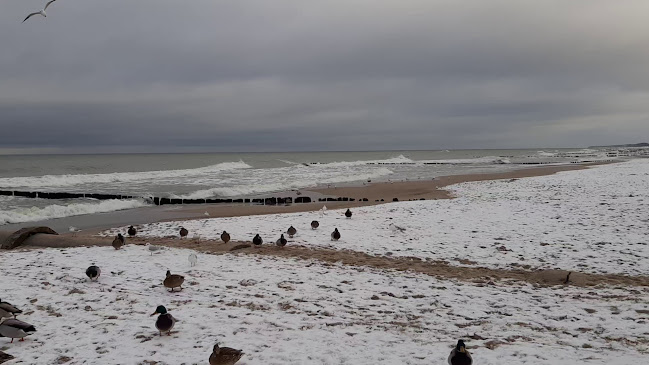 OAZA Kołobrzeg-Podczele