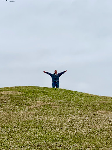 Alligator Mound - Visual