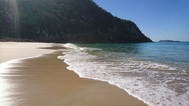 Tomaree Head Summit walk