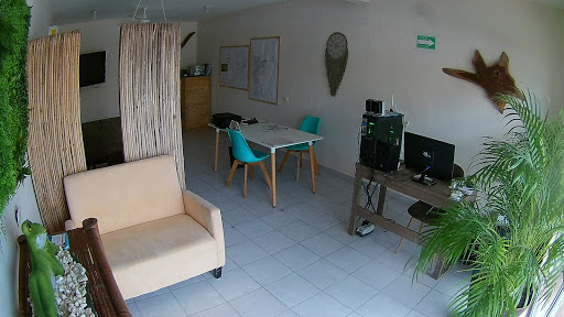 Caribbean Habit Real Estate