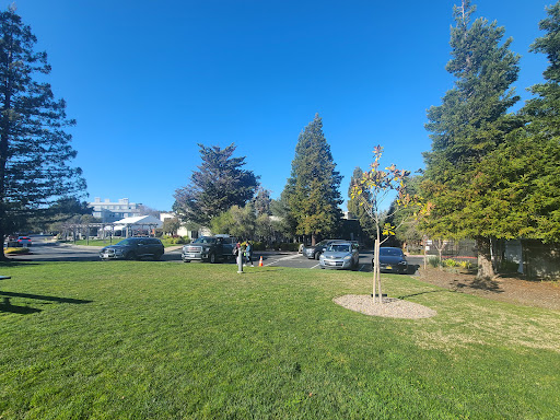 Crystal Springs Uplands School - Upper School - Thumbnail