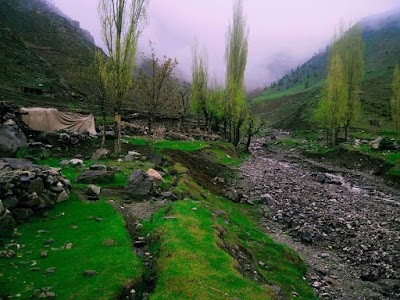 Khogyani