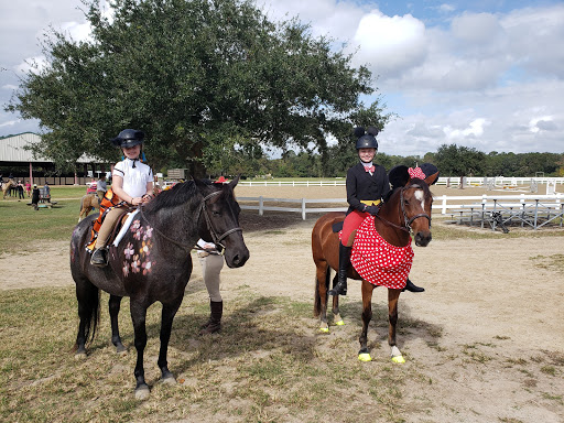 Mullet Hall Equestrian Center - Thumbnail