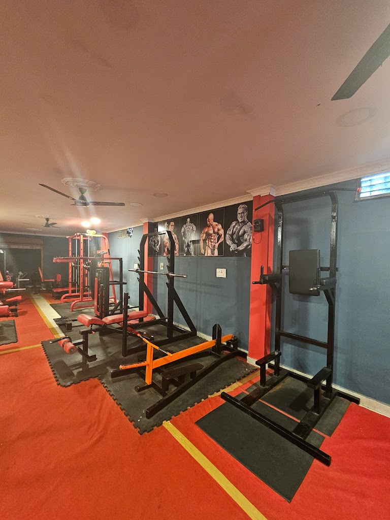 Shape Up Fitness Hub Unisex Gym