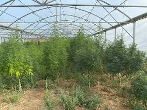 Photo n°3 de La Ferme SATIVAS GARDEN à Vrigne aux Bois (Herboristerie)