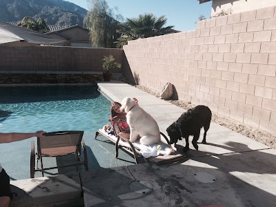 Photos of Ramona Humane Society