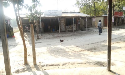 Photos of নয়াপাড়া পুকুর