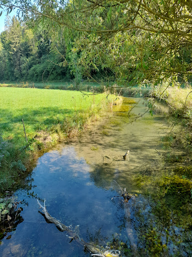 Glastal - Thumbnail