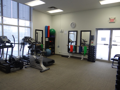 Life Force Physio - Visual