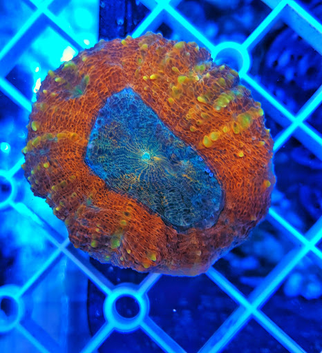 BBA Atlantis Ltd Gallery - United Kingdom