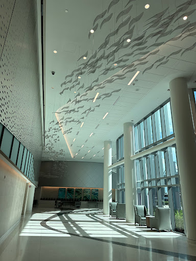 Lakeland Regional Hospital - Thumbnail