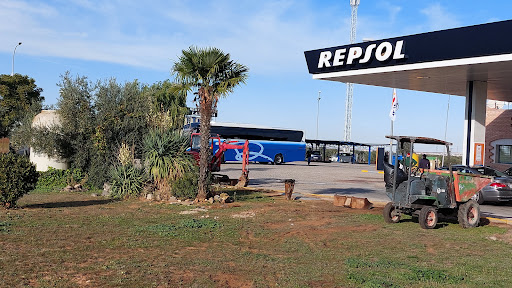 EE. SS. REPSOL COMBUSTIBLES GUTIÉRREZ - Thumbnail