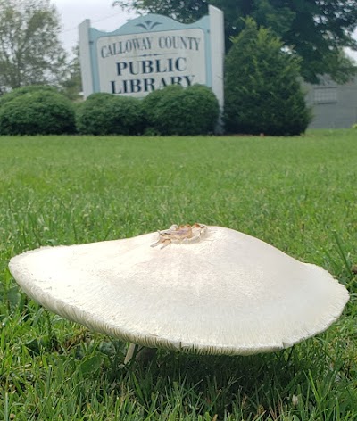 Calloway County Public Library