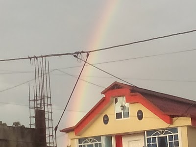 Photos of Viveres Paola