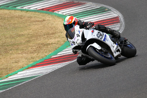 Polidorimoto - Visual