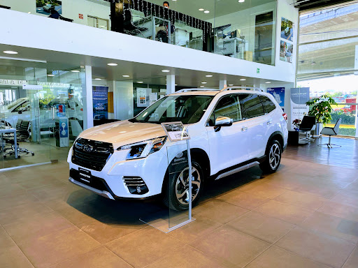 Subaru Metepec - Thumbnail