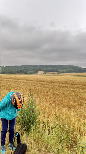 Photo de Colisée - EHPAD LA FONTAINE à Billy-sur-Aisne (02200)