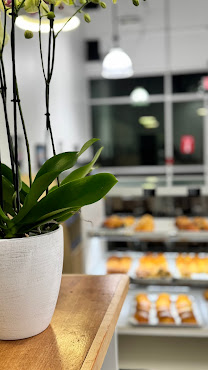 MyWife Donuts by null