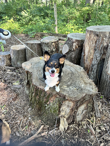Boulder Park - Thumbnail