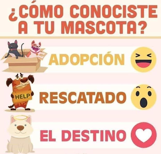 Veterinaria Alfa SPL
