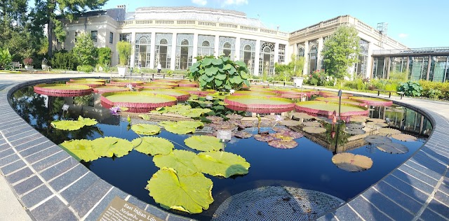 Longwood Gardens Conservatory