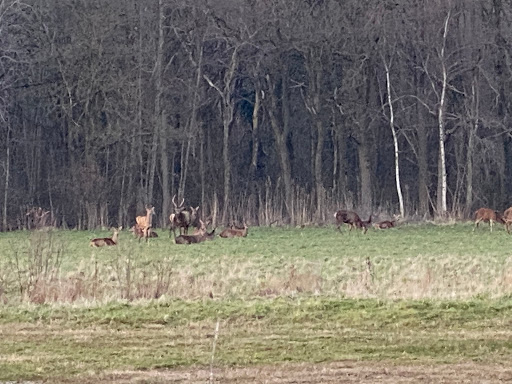 Kuppenbunders