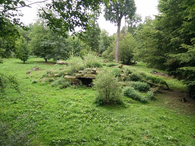 Parc Animalier de Sainte-Croix